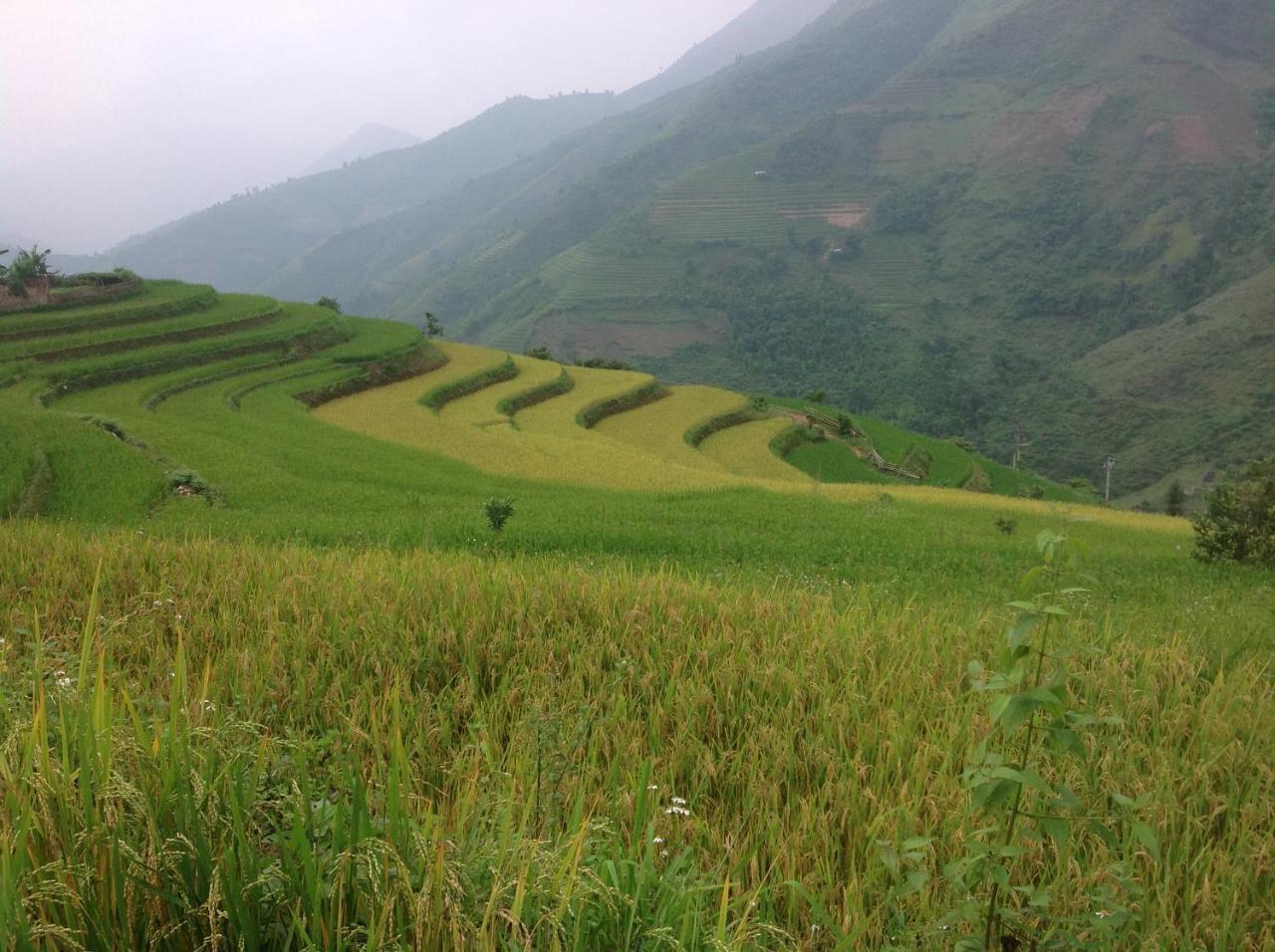 Apartamento Sa House Bac Ha Exterior foto